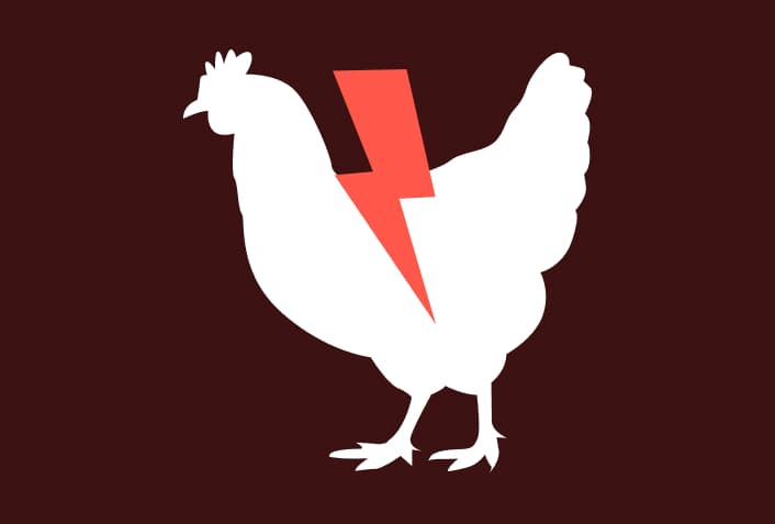 chicken with thunder