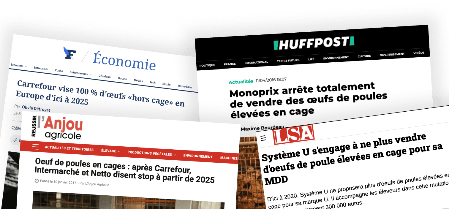 collage of press articles