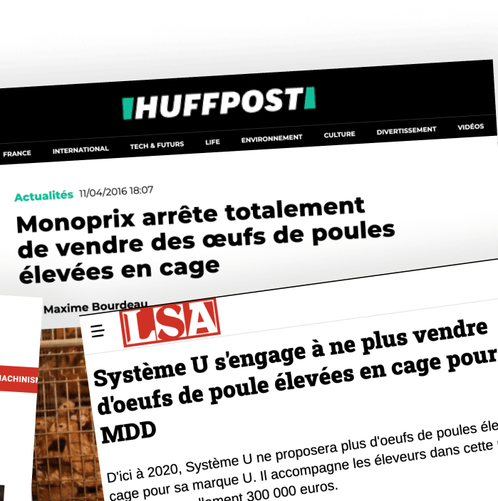 collage of press articles